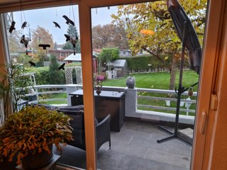 Blick vom Wohnzimmer zum Garten